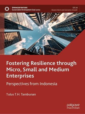 cover image of Fostering Resilience through Micro, Small and Medium Enterprises